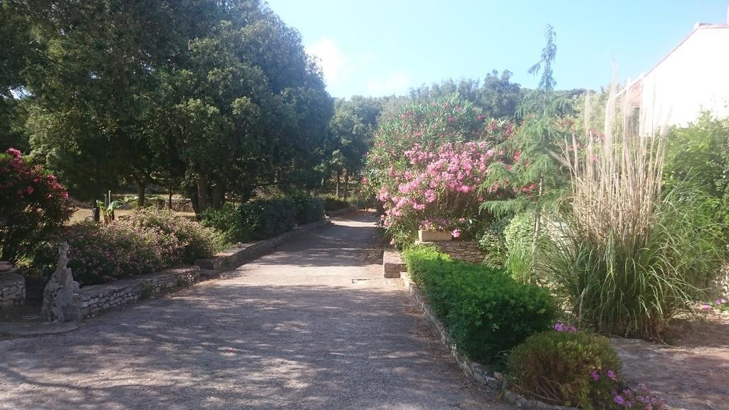Domaine De Foresta Бонифачо Экстерьер фото